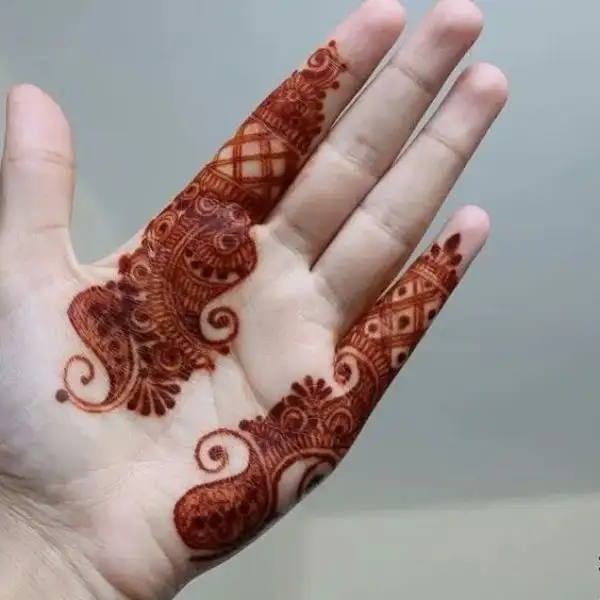 aesthetic mehndi design front hand