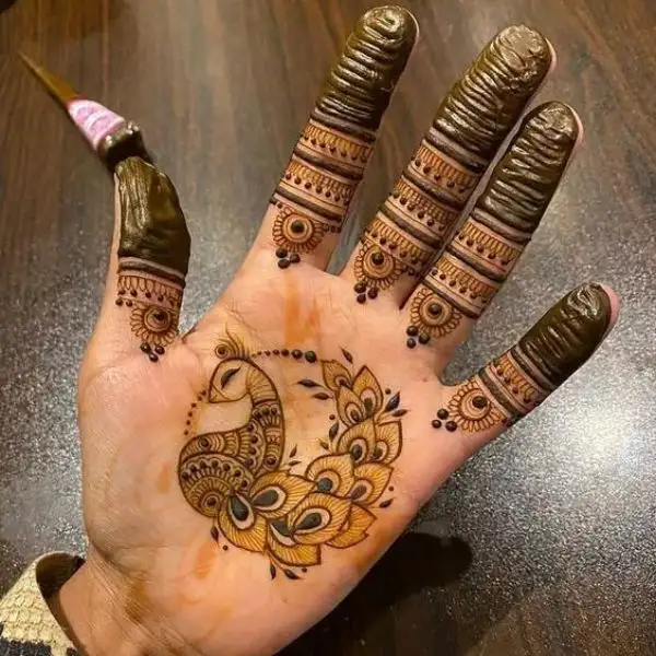 aesthetic mehndi design front hand